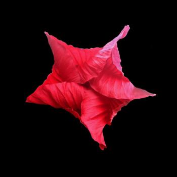 Peggy Covell photo