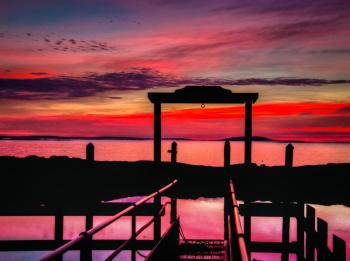 Martin Grassie photo