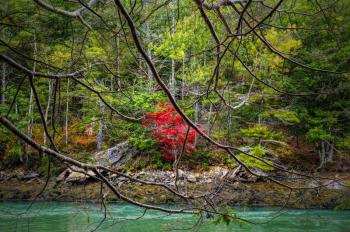 Ray Arsenault photo