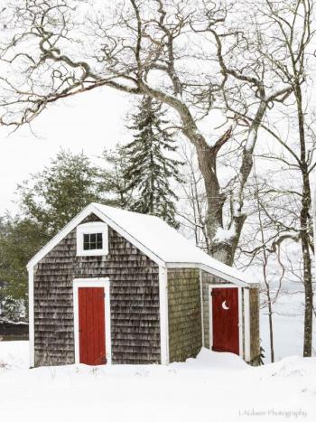 Lois Glaser photo