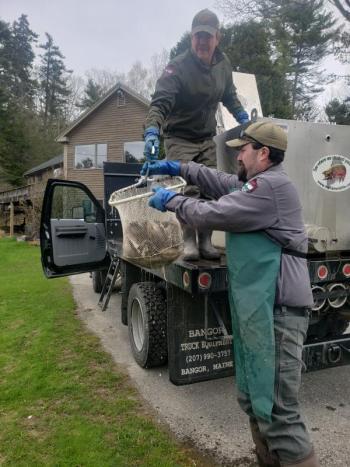 Inland Fish and Wildlife biologists Laird Townsend and David Lalancette unload their fragile cargo at Knickerbocker Lake. Courtesy of Dale Harmon/Boothbay Region Water District.