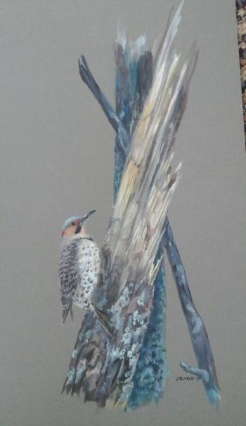 “Yellow Shafted Flicker” by Julie Babb is representative of her highly skilled and detailed bird portraits. Check them out at Pemaquid Art Gallery. Courtesy of Peggy Farrell Julie Babb