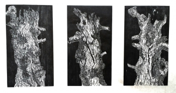 Gene Shaw - “Monhegan Pine, Three Views” - 28” X 14” woodcut. Courtesy of Green Lion Gallery, Bath Gene Shaw