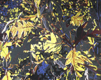 A new work by Jean Gumpper, “Unfolding Time,” a 19” X 15” woodcut print. See it at Green Lion Gallery. Courtesy of the venue Jean Gumpper