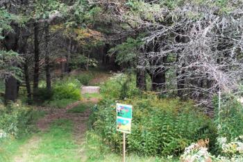 A scene along the Halloween Story Trail at Boothbay Region Land Trust. LISA KRISTOFF/Boothbay Register