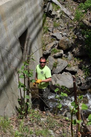 Earl Babcock of Wiscasset’s highway crew is shown where water from Holbrook’s Pond exits the conduit beneath Route 1. PHIL DI VECE/Wiscasset Newspaper