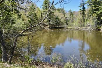 Looking across Holbrook’s Pond from Route 1. PHIL DI VECE/Wiscasset Newspaper