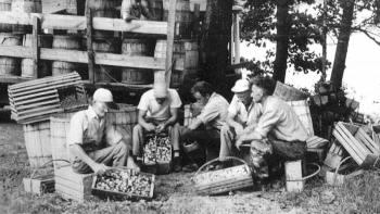 Chester Farmer opened a clam canning factory at Back Narrows in 1914, moving a building across the Damariscotta River from Bristol to house it. Farmer's factory was located at the bottom of Camps Hill across from Fort Island. It operated seasonally, in the fall and summer, until 1942, with as many as 50 men digging and processing clams. A crew of Chester's clammers (above), all Back Narrows men, check over their hods in the 1930s. From left are Will Hutchins, Carl Doughty, Darrell Bryer, Gordon Bryer, and Harold Bryer. The man among the barrels in the stake truck is Shirley Cunningham. Courtesy of Doris Bryer Smith