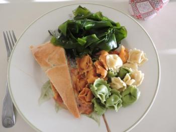Strap kelp turns a deep emerald green after it is boiled. The texture of the 1-1/2 inch kelp is somewhat like a lasagna noodle. After rinsing with fresh water and boiling for 10 minutes it is a nice addition to any dish as seen below of tortellini and a calzone wedge. Harvester Jodi Brewer says her favorite recipe is kelp made into a stuffing for homemade raviolis. Diane Randlett photo
