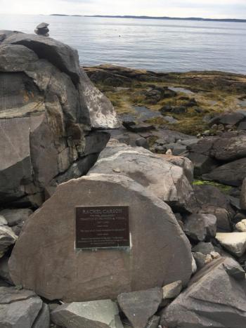 A place I had never been to ... the Rachel Carson memorial in front of the author-environmentalist’s favorite view. LISA KRISTOFF/Boothbay Register