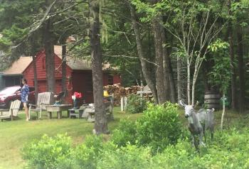 The critter count stop. You know where this is, right? LISA KRISTOFF/Boothbay Register