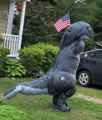 A fan of the Horribles Parade. KEVIN BURNHAM/Boothbay Register