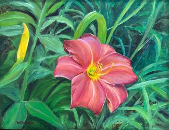 Wendy Korjeff Bellows