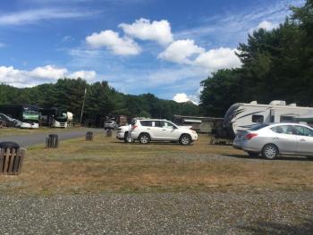Shore Hills is sparsely filled this year, said Paula Reny-Warford. JOSEPH CHARPENTIER/Boothbay Register