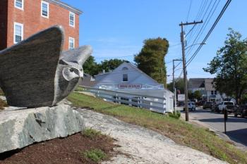 “Head Wind” has quite the perch! Sophie West photo