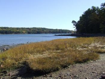 #bird-column, #birds, #JeffandAllisonWells, #BoothbayRegister, #WiscassetNewspaper, #landformaine’sfuture, #LMF, Maine