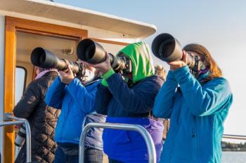Some of the cruise participants aim their cameras. Colleen McGarry photo