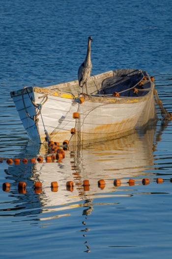 Mike Leonard photo