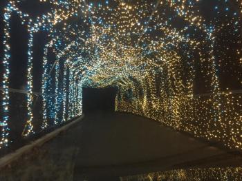 Covered bridge alight with magic. LISA KRISTOFF/Boothbay Register