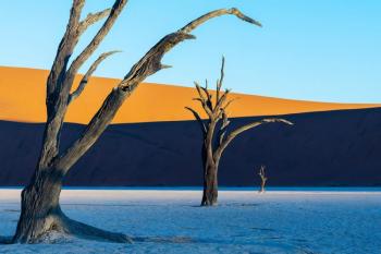 First Place Color: “Dead Vlei” by Stephen Fabricius. Courtesy of MPS Stephen Fabricius