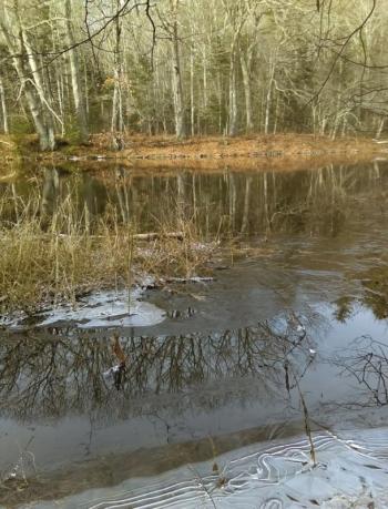 The recent Conservation Easement includes nearly 500 feet of frontage on the Sheepscot River, protecting water quality and wildlife habitat on this scenic river. Courtesy of Midcoast Conservancy