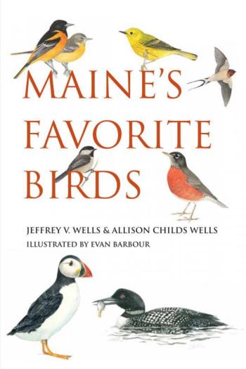 The authors wrote their book with the hope of helping birders experience the joy of seeing birds for the first time. Courtesy of Jeff and Allison Wells. #bird-column, #Jeff-and-allison-wells, #maine, #birds