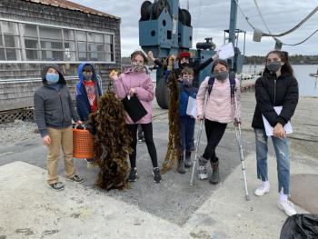 Julie Browne’s Edgecomb Eddy School science class was one of seven midcoast schools which participated in the “Exploring the Science of Seaweed Farming Harvest” science program sponsored by Boothbay Sea and Science Center. BILL PEARSON/Boothbay Register