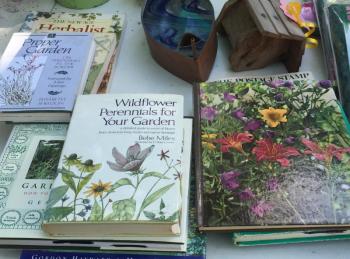 New to gardening? No problem! LISA KRISTOFF/Boothbay Register