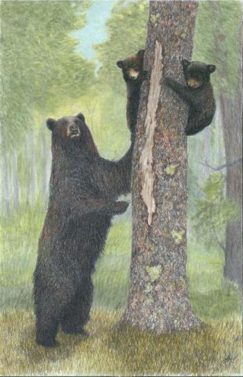 “Climbing Lessons,” by Cheryl A. Young. Courtesy of Kim Skillins Traina Cheryl A. Young