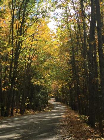 Mill Road. LISA KRISTOFF/Boothbay Register