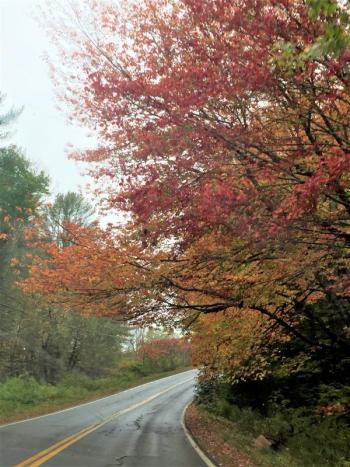 River Road. LISA KRISTOFF/Boothbay Register