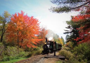 WW&F and SeaLyon Farm’s Halloween Train and Treat event is coming up. Got tickets? Courtesy photo