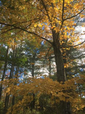 View in Boothbay. LISA KRISTOFF/Boothbay Register