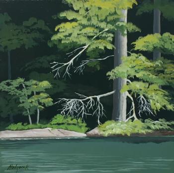 “The Venerable Pine” by Ann Hedgcock