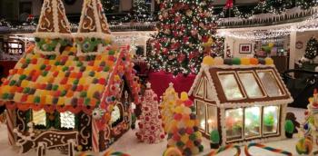Behind the scene of this year’s Most Spectacular gingerbread, “Santa’s Greenhouse.” Kevin Kiley photo