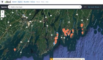 #bird-column, #boothbay-register, #jeff-and-allison-wells, #maine, #birds, #Steller’s-sea-eagle
