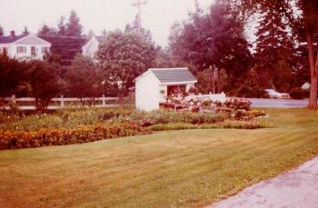 A scene at Boothbay Region Greenhouses in 1971. Courtesy photo