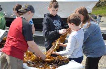 Students from 10 Maine schools participated in Boothbay Sea Science Center’s experiment learning how seaweed grows. BILL PEARSON/Boothbay Register