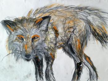 Lori Shafer