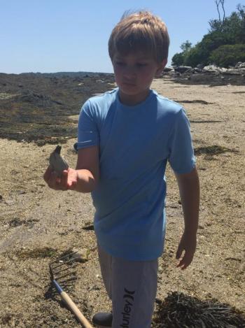 James Barter has dug up a live one .. clam, that is. LISA KRISTOFF/Boothbay Register