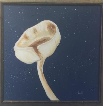 Lynne Seitzer - Mushroom series - You have to see these in person, not via iPhone! Lynne Seitzer