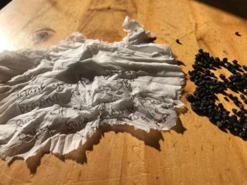 Thank you note and elderberries. Courtesy of Mari McGuire
