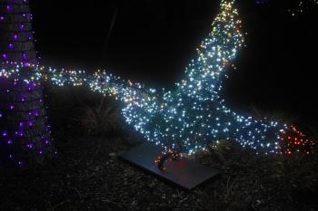STEVE EDWARDS/Boothbay Register