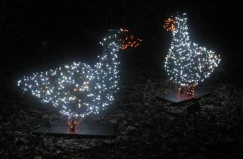 STEVE EDWARDS/Boothbay Register