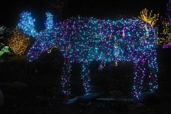 STEVE EDWARDS/Boothbay Register