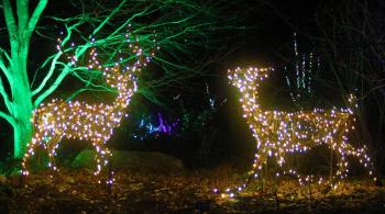 STEVE EDWARDS/Boothbay Register