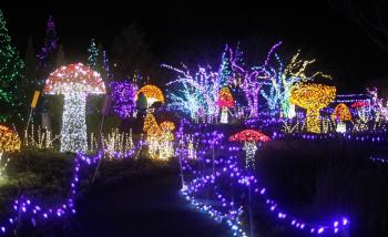 STEVE EDWARDS/Boothbay Register