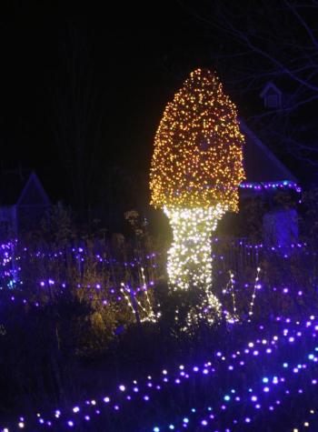 STEVE EDWARDS/Boothbay Register