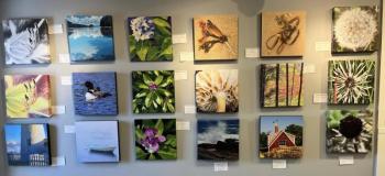 Photographs in 2022’s Art in the Square at Boothbay Region Art Foundation.
