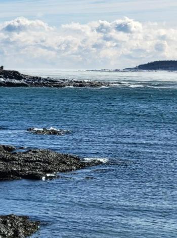 Ocean Point. Dan Gardner photo